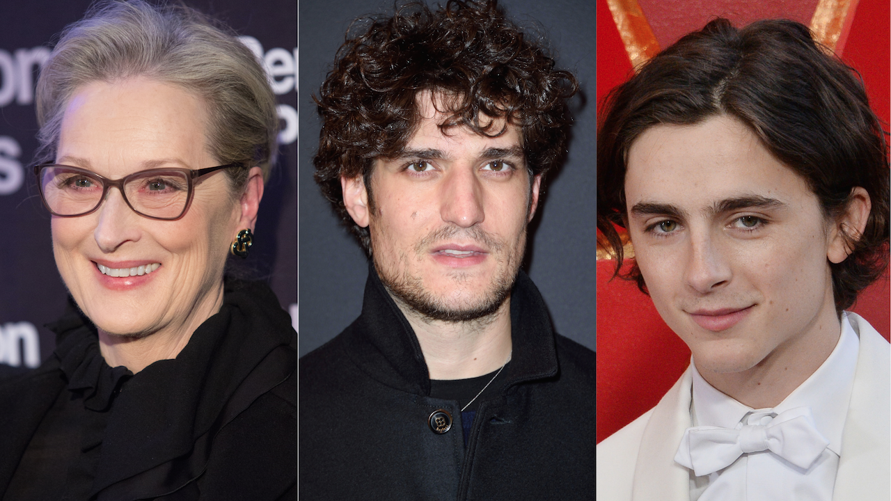 Louis Garrel Meryl Streep Timothée Chalamet Little Women