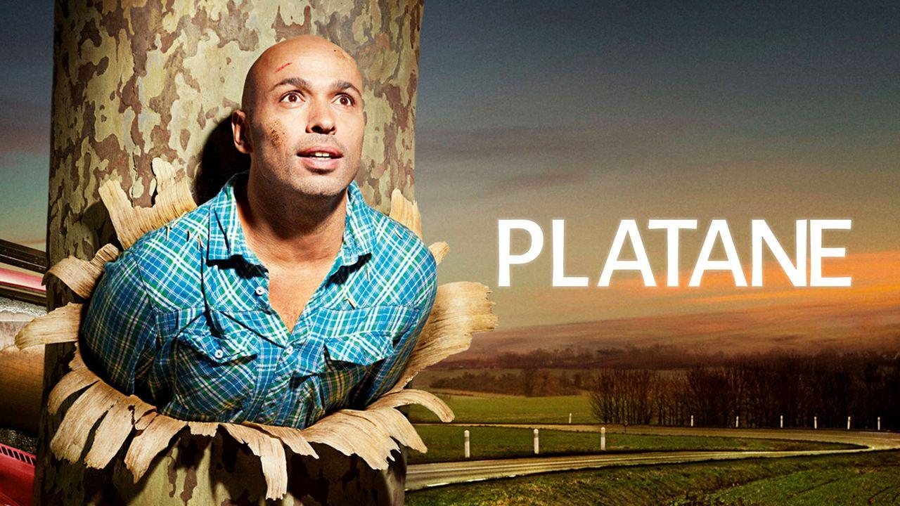 Platane 