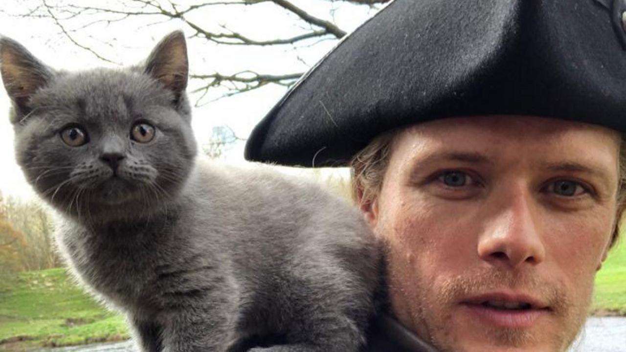 outlander chaton saison 5