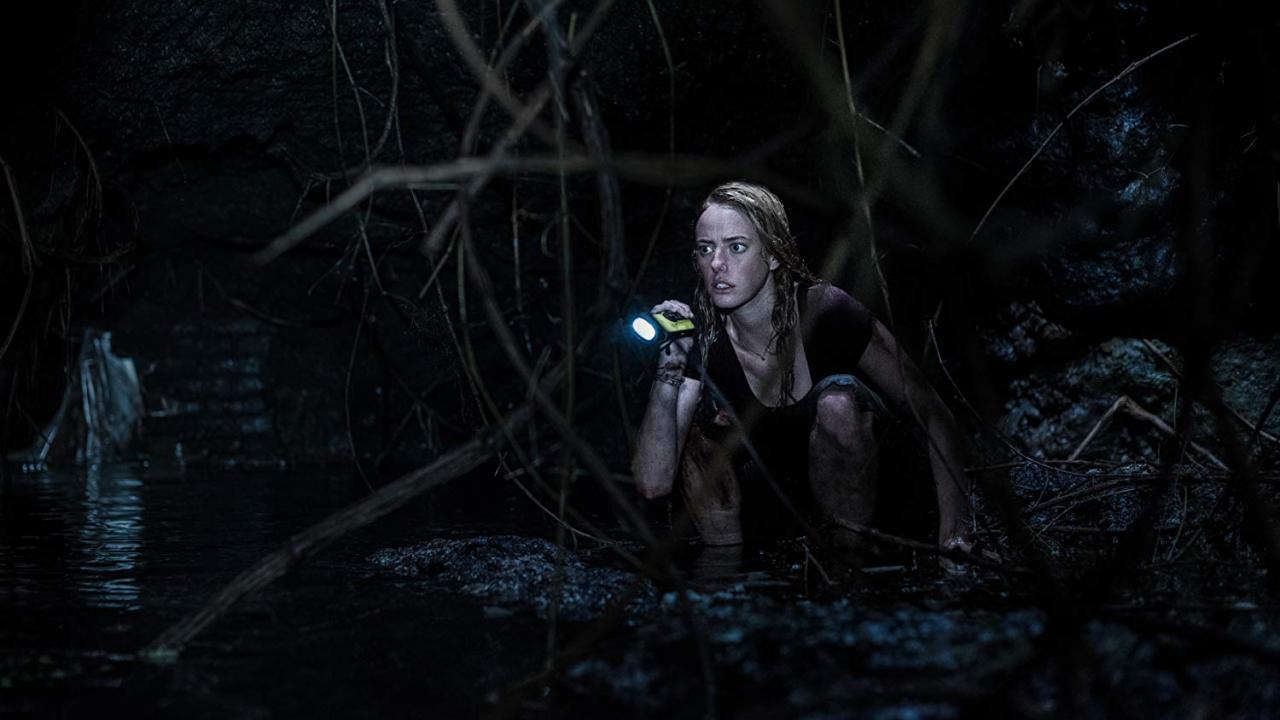 Crawl (2019)