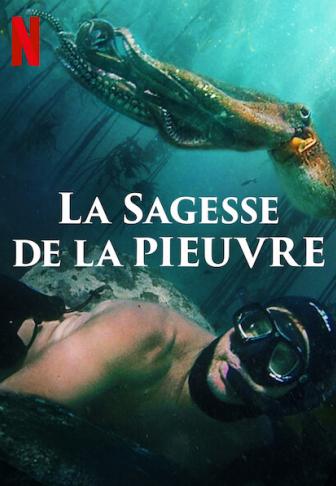 La Sagesse de la pieuvre (My Octopus Teacher) affiche