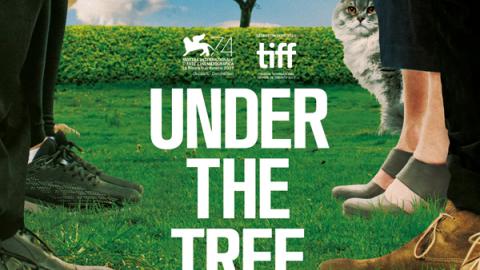 affiche Under the tree