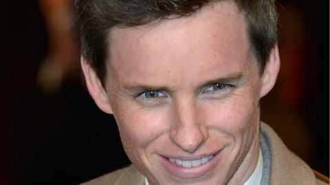 Avant-première des Animaux fantastiques 2 à Paris : Eddie Redmayne (Norbert Dragonneau)