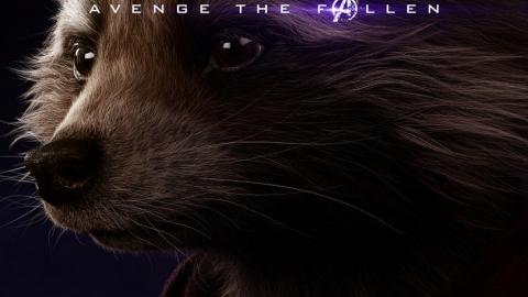 Avengers Endgame : Rocket (voix de Bradley Cooper)