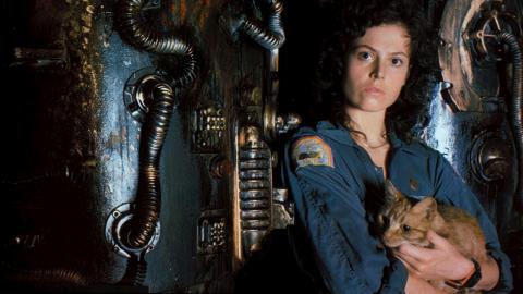 Ripley