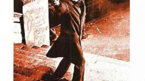 Un requin dans la ville