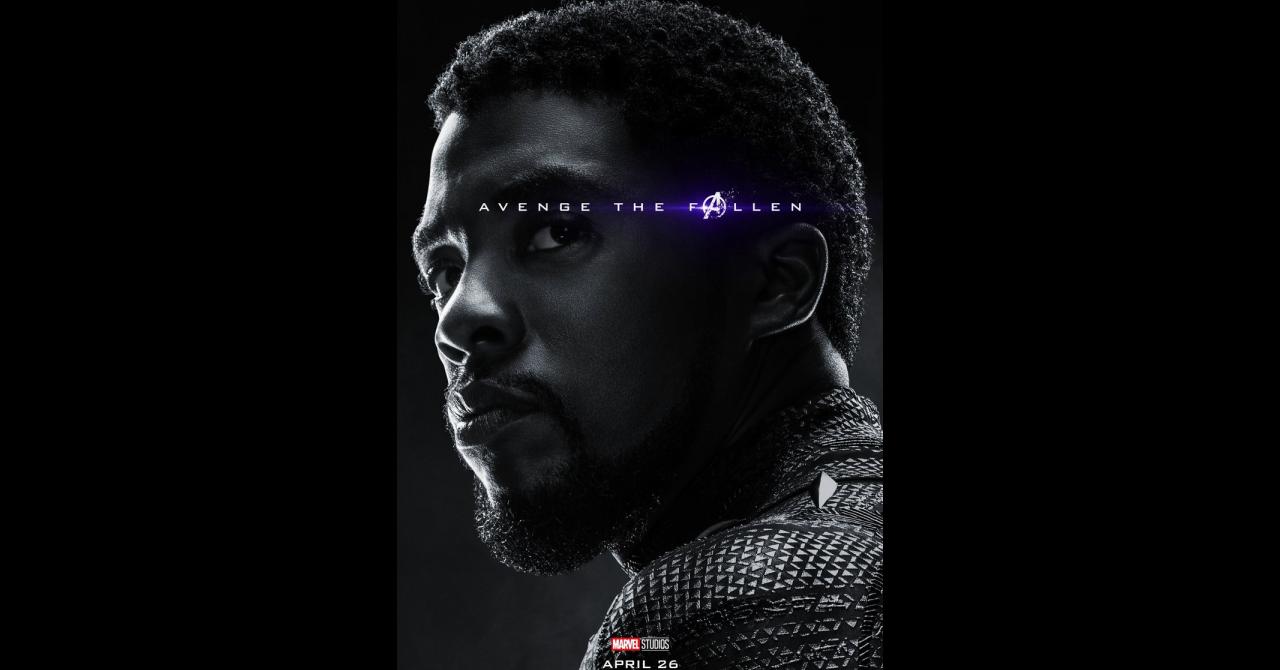 Avengers Endgame : Black Panther (Chadwick Boseman)