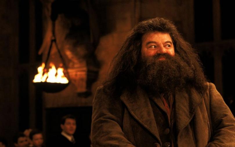 Hagrid